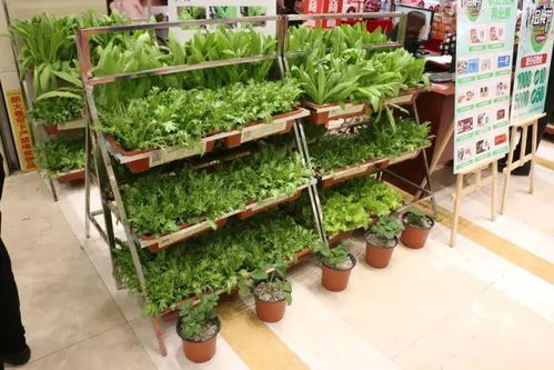 80购100元新百年货券，六店通用，海口日用百货限时秒杀