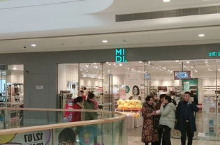 想不到！毛绒家居日用品竟成海口百货优品店消费主力